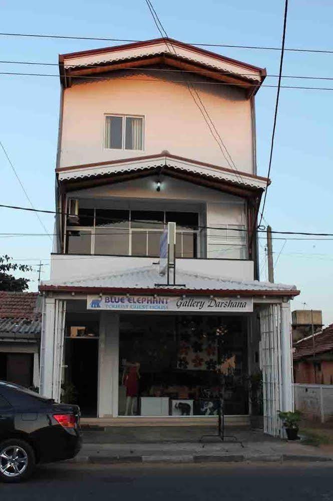 Blue Elephant Tourist Guesthouse Kudapaduwa Exterior photo